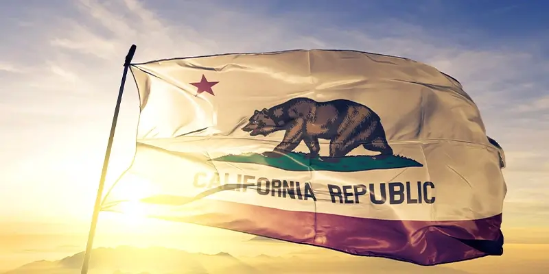 California Flag Image